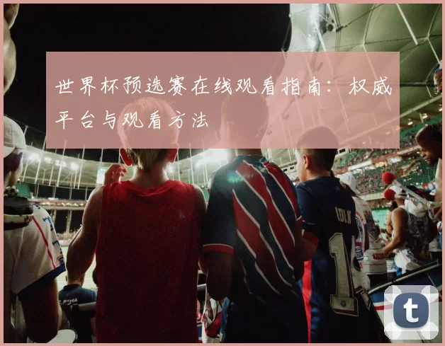 世界杯预选赛在线观看指南:权威平台与观看方法