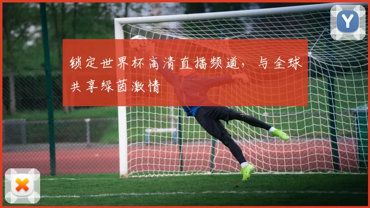 锁定世界杯高清直播频道，与全球共享绿茵激情