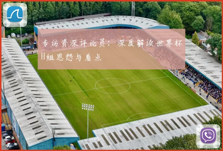 专访资深评论员:深度解读世界杯H组恩怨与看点