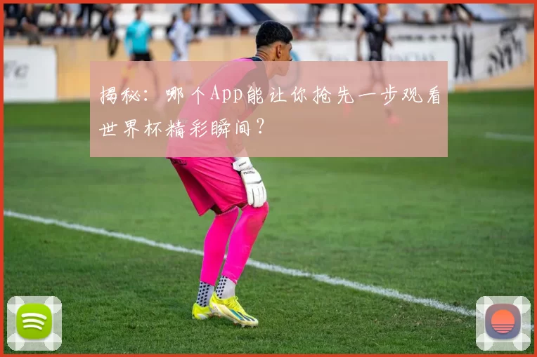 揭秘:哪个App能让你抢先一步观看世界杯精彩瞬间?