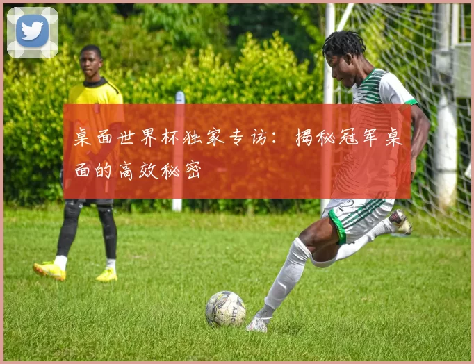 桌面世界杯独家专访：揭秘冠军桌面的高效秘密