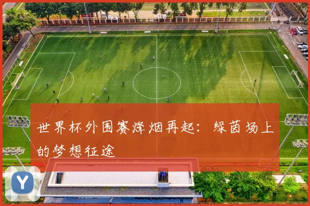 世界杯外围赛烽烟再起:绿茵场上的梦想征途