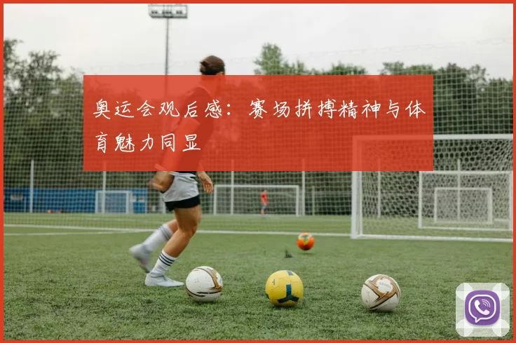 奥运会观后感：赛场拼搏精神与体育魅力同显