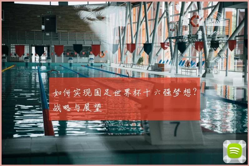 如何实现国足世界杯十六强梦想?战略与展望