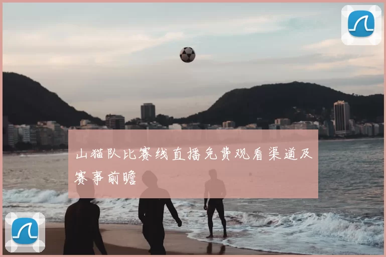 山猫队比赛线直播免费观看渠道及赛事前瞻