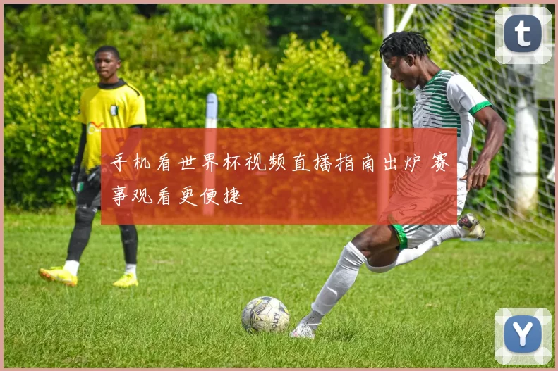 手机看世界杯视频直播指南出炉 赛事观看更便捷