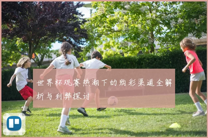 世界杯观赛热潮下的购彩渠道全解析与利弊探讨